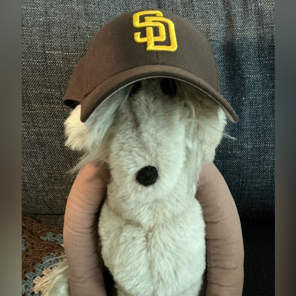 San Diego 47 brand Cap